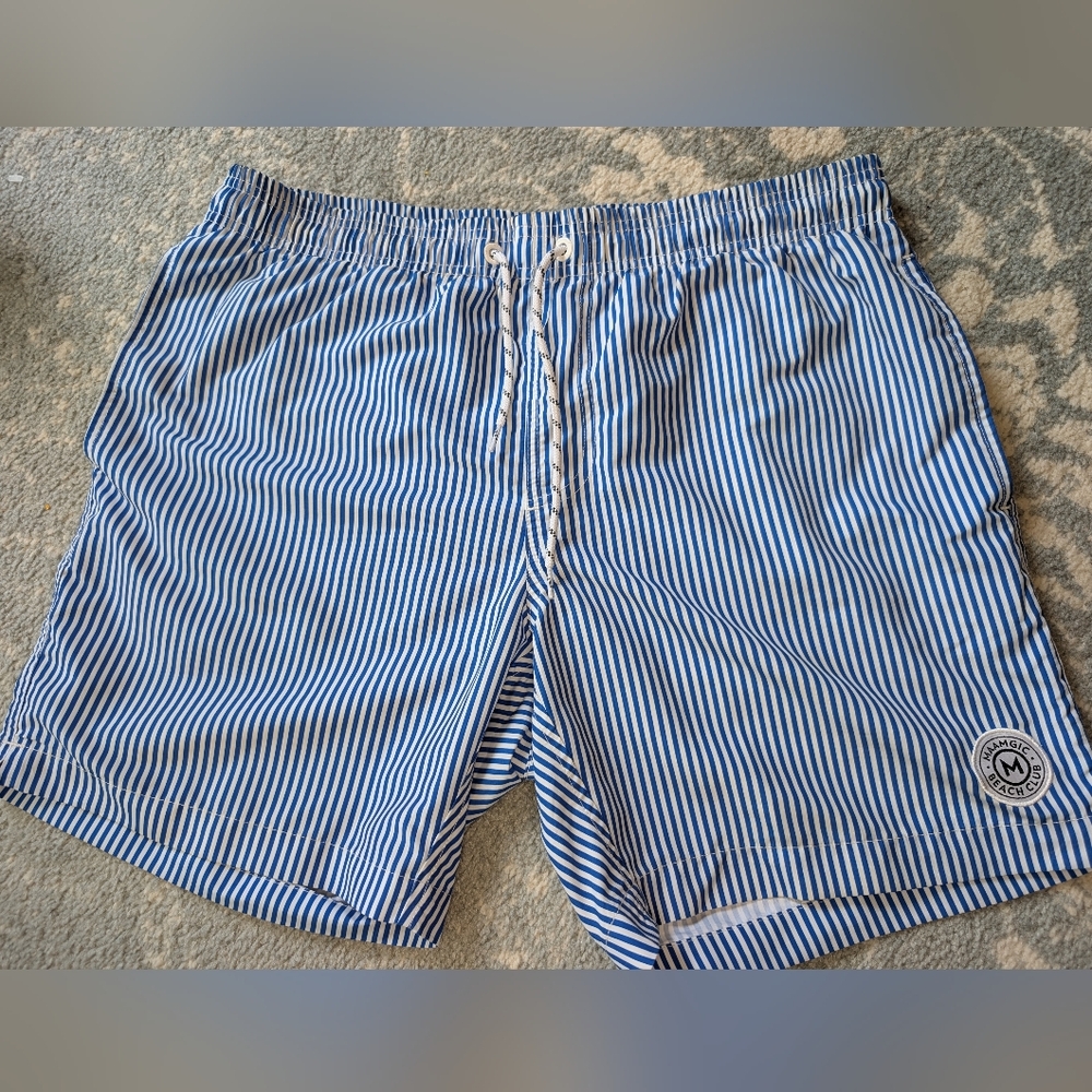 Men's Maamgic Blue And White Striped Swim Trunks